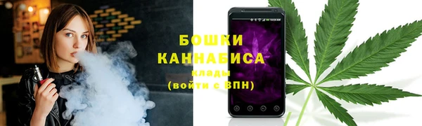 ПСИЛОЦИБИНОВЫЕ ГРИБЫ Арсеньев