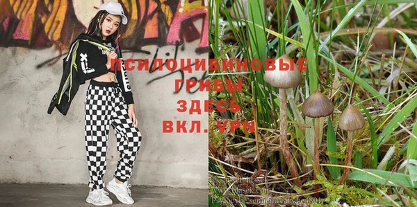 мяу мяу кристалл Алзамай