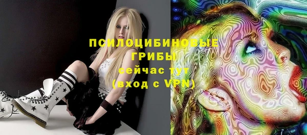 ПСИЛОЦИБИНОВЫЕ ГРИБЫ Арсеньев