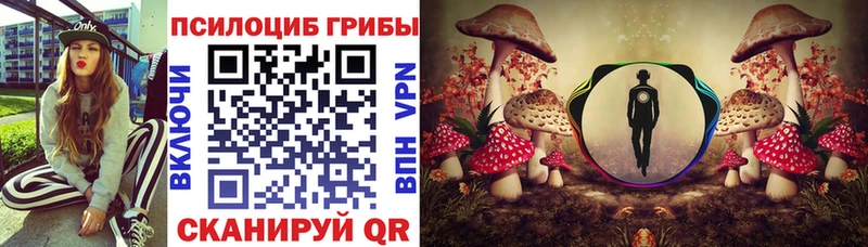 Галлюциногенные грибы мицелий  купить   Коломна 